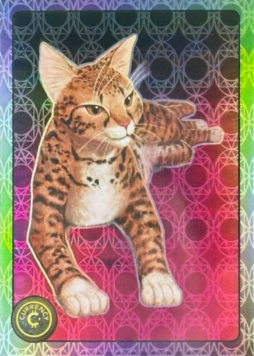Ashera Cat