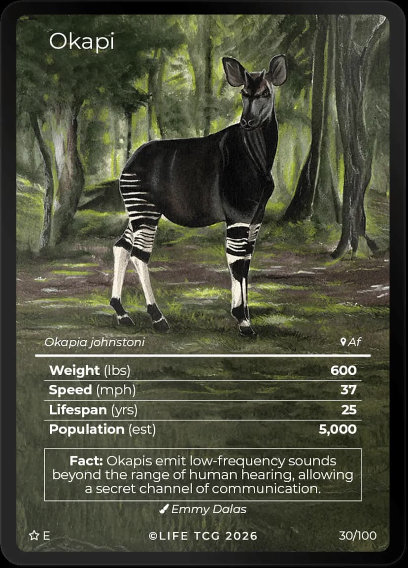 Okapi
