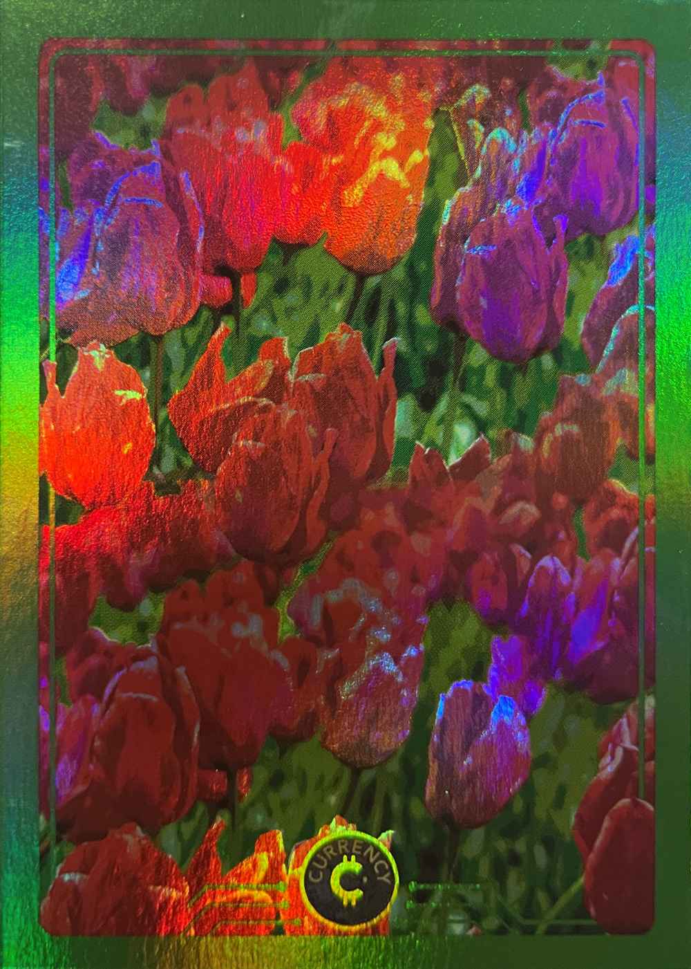 Tulips (Holofoil) thumbnail