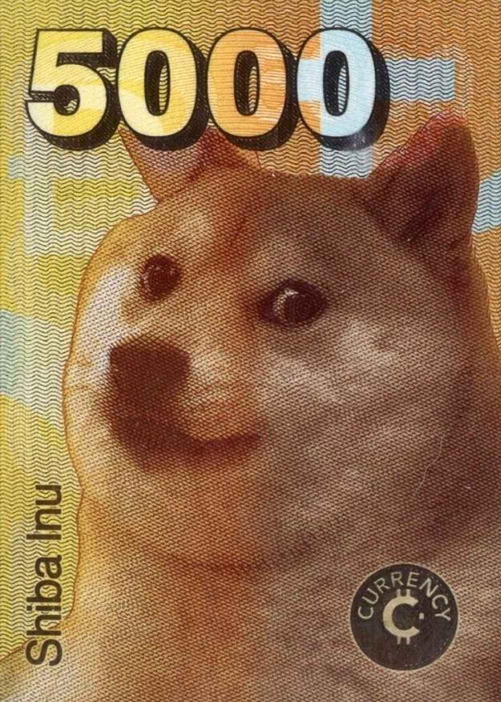 Shiba Inu (5000) card front