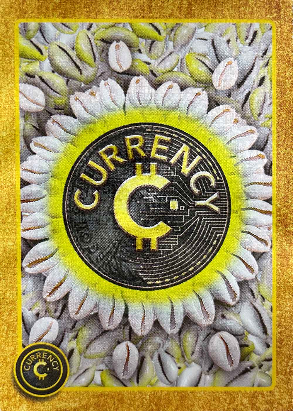 Cowrie Shells card front