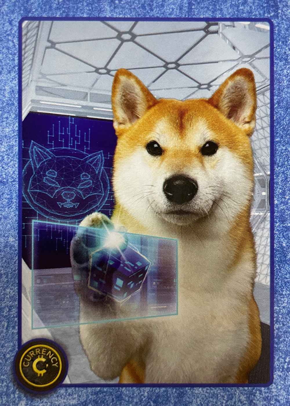 Shiba Inu card front