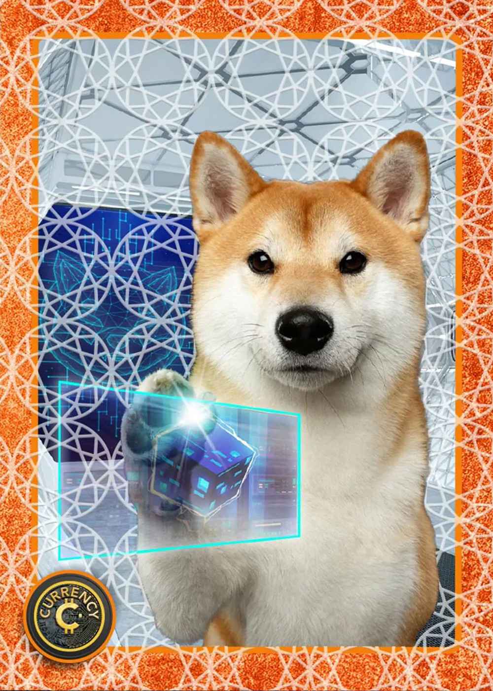 Shiba Inu (Beryl) thumbnail