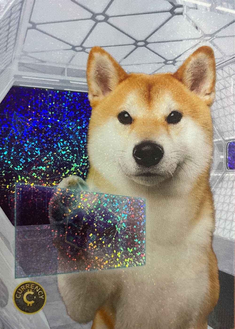 Shiba Inu (Crystal Sparkle) thumbnail