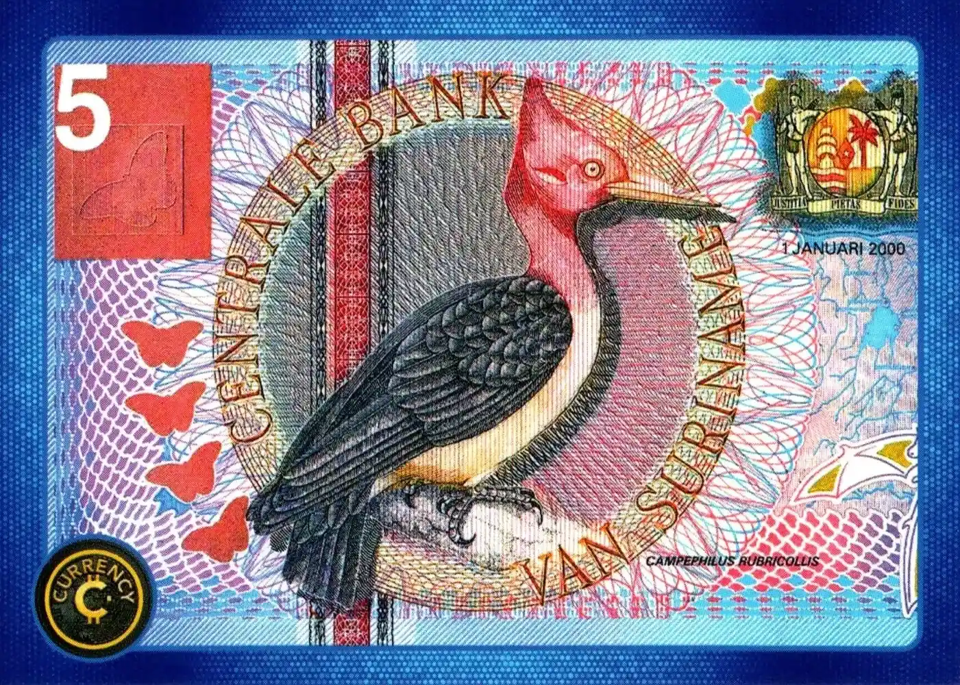 Suriname 5 Gulden card front