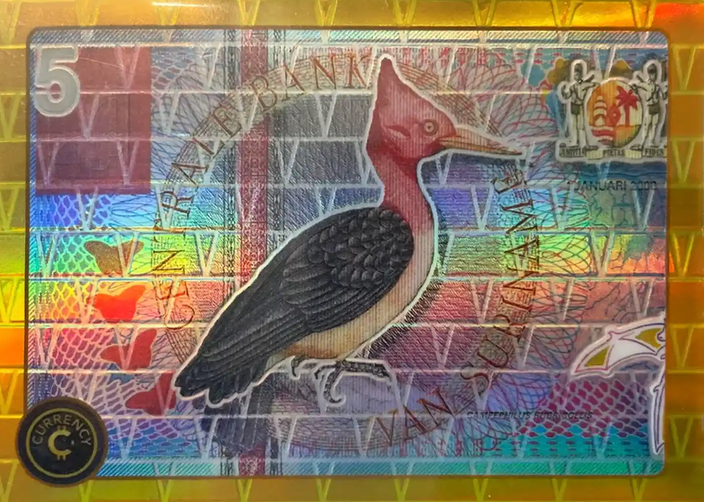 Suriname 5 Gulden (Gold) thumbnail