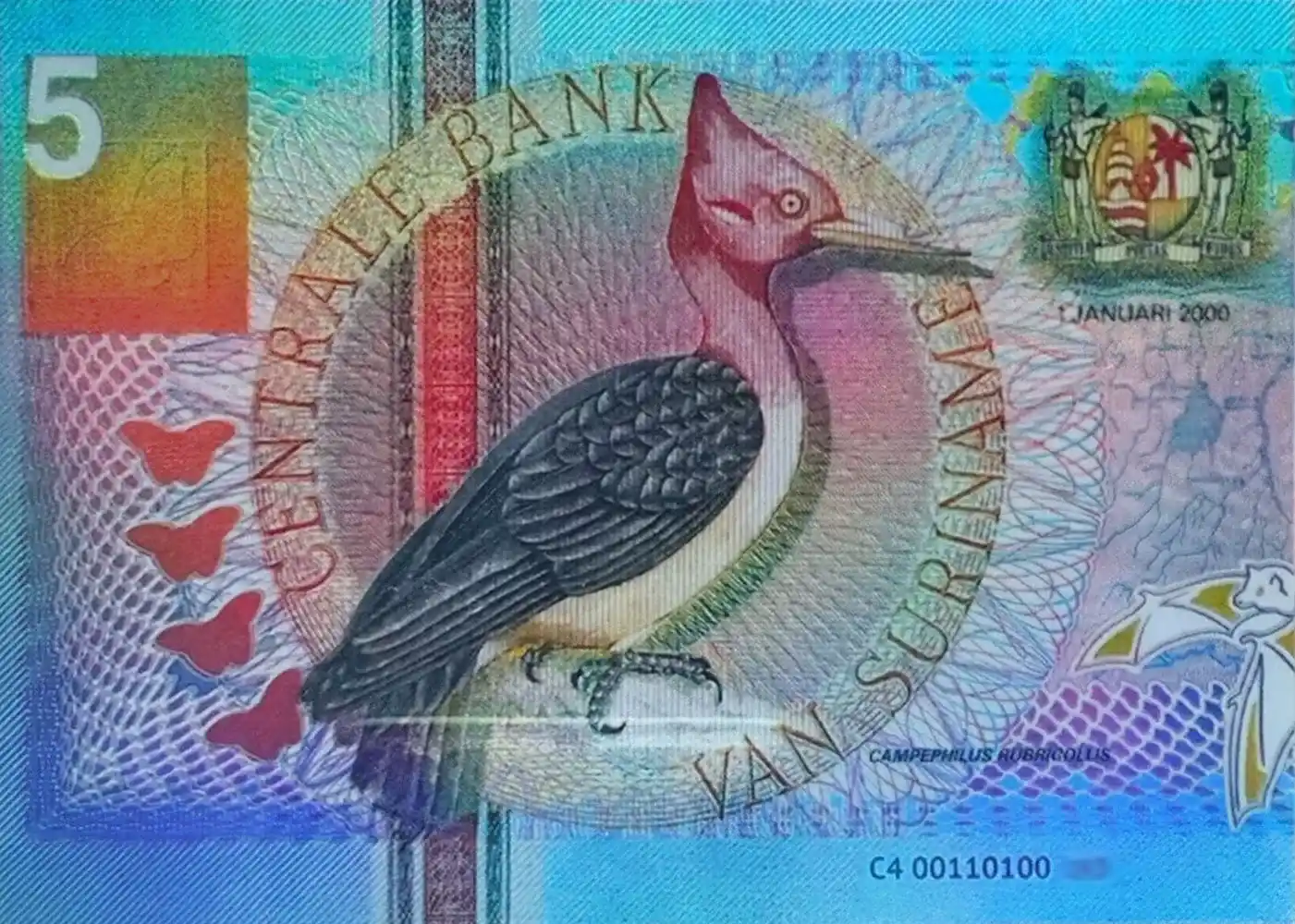 Suriname 5 Gulden card front