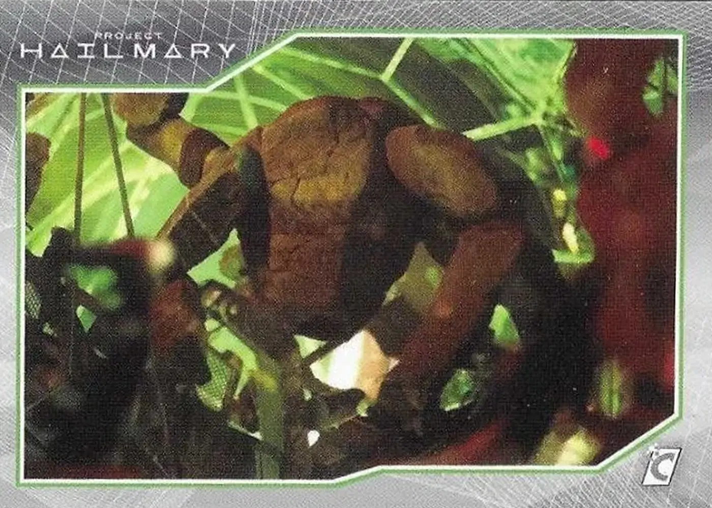 Collaboration card front