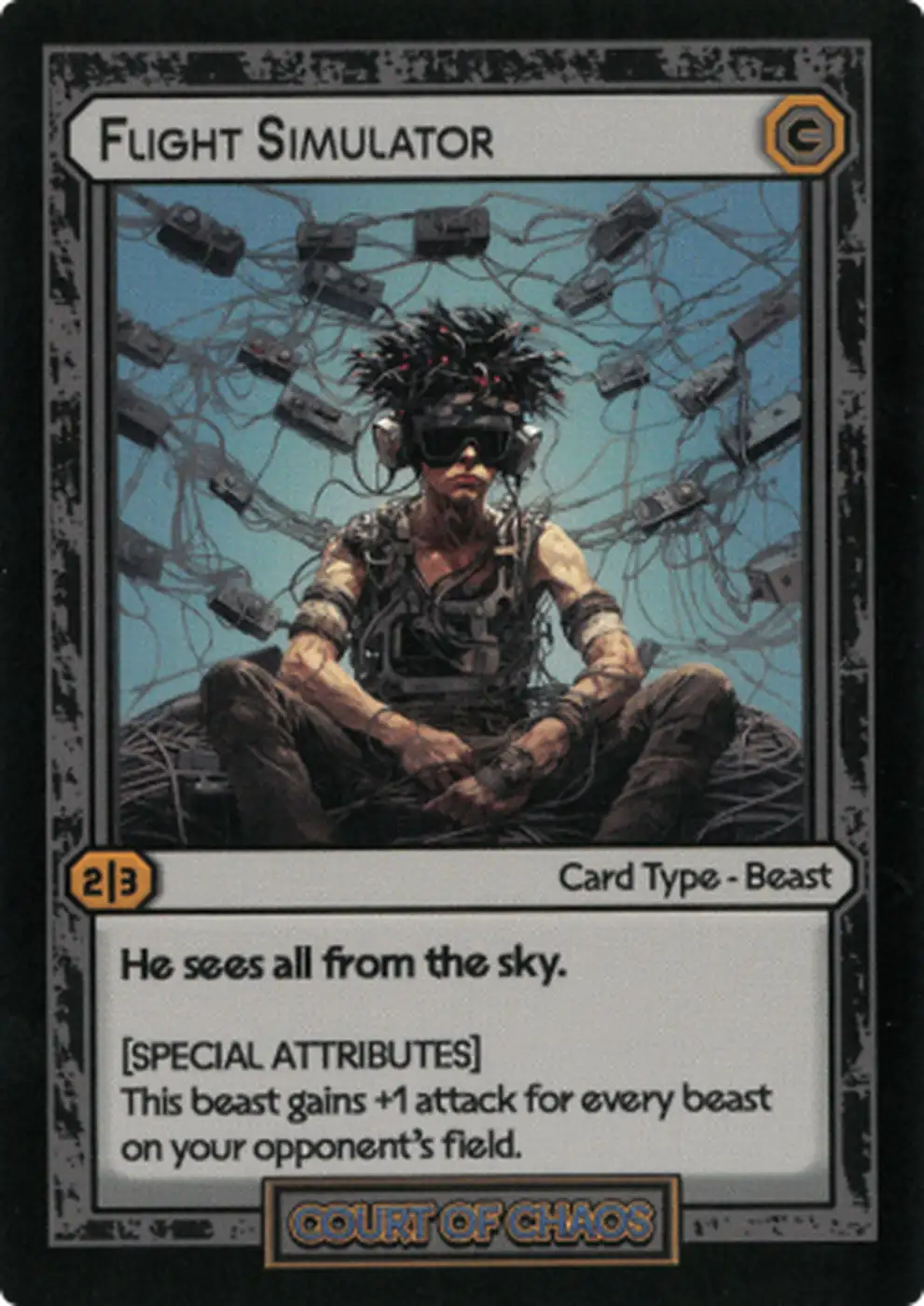 Flight Simulator card front
