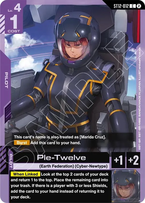 Ple-Twelve card front