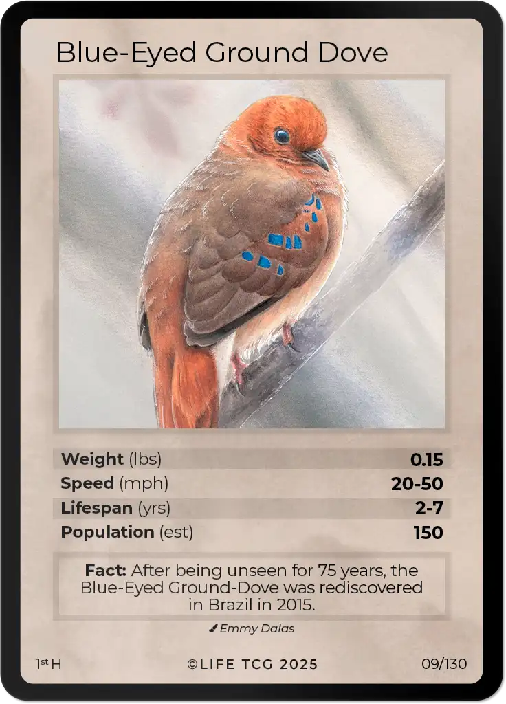 Blue-Eyed Ground Dove card front