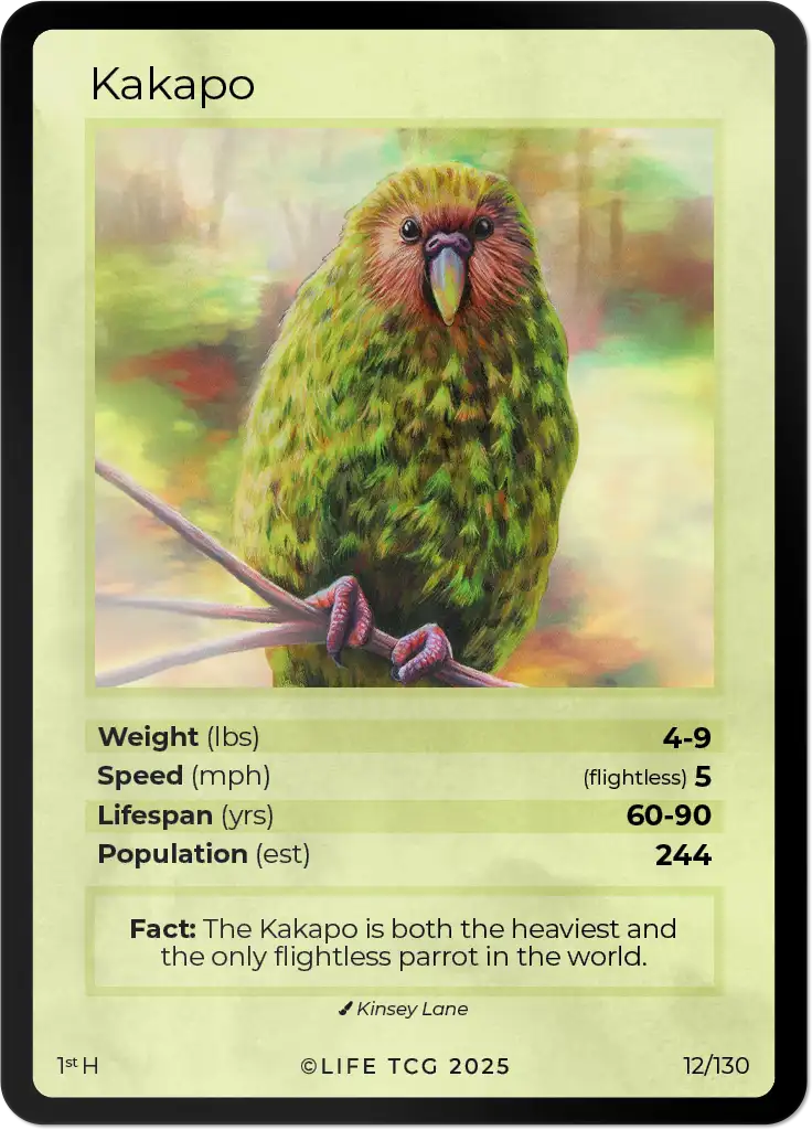 Kakapo card front
