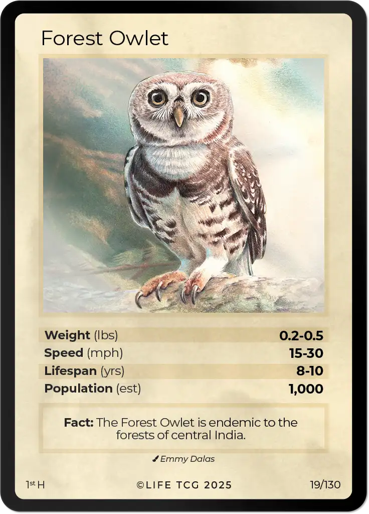 Forest Owlet card front