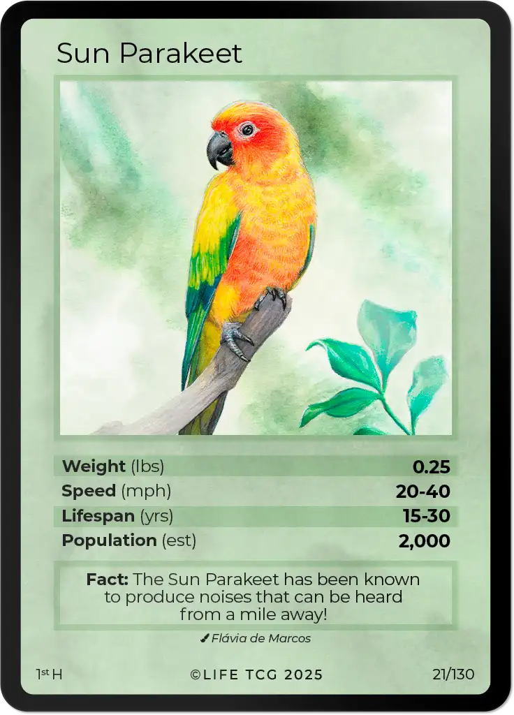 Sun Parakeet card front