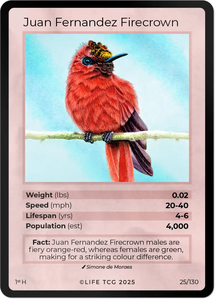 Juan Fernandez Firecrown card front