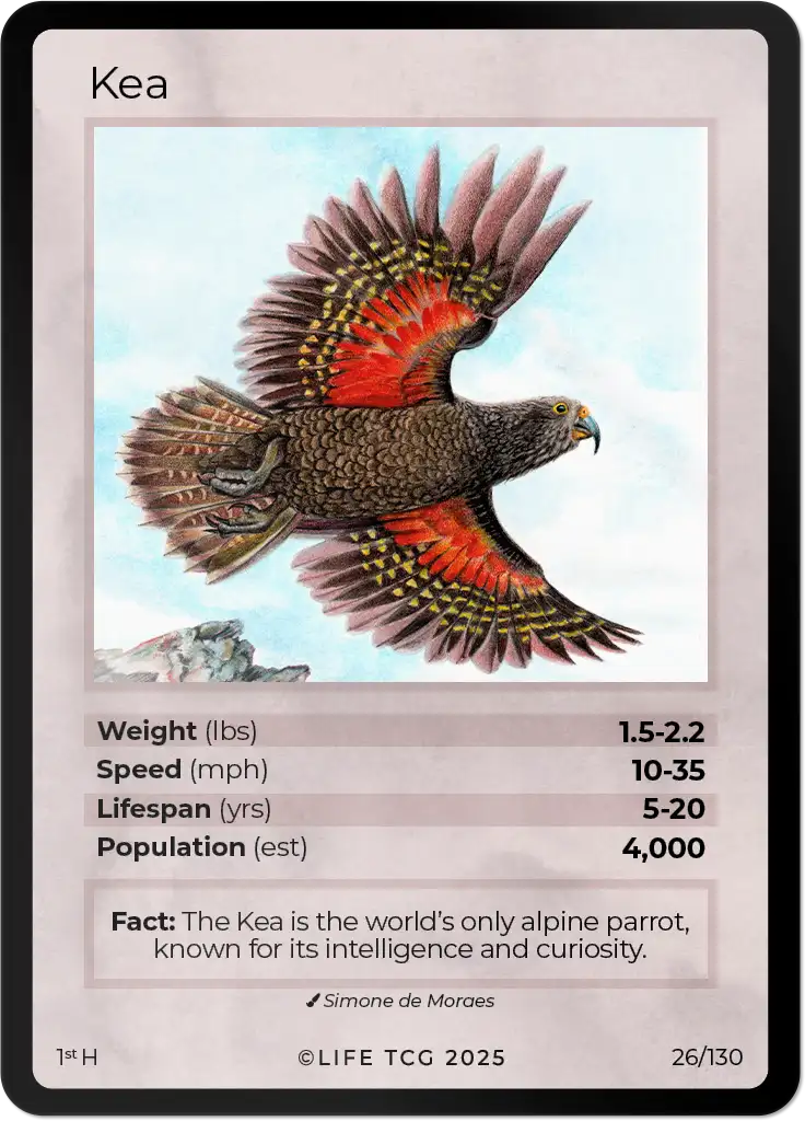 Kea card front