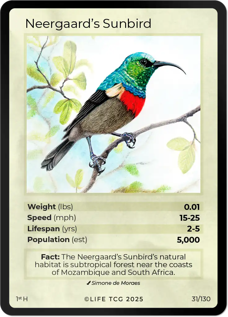 Neergaard's Sunbird card front