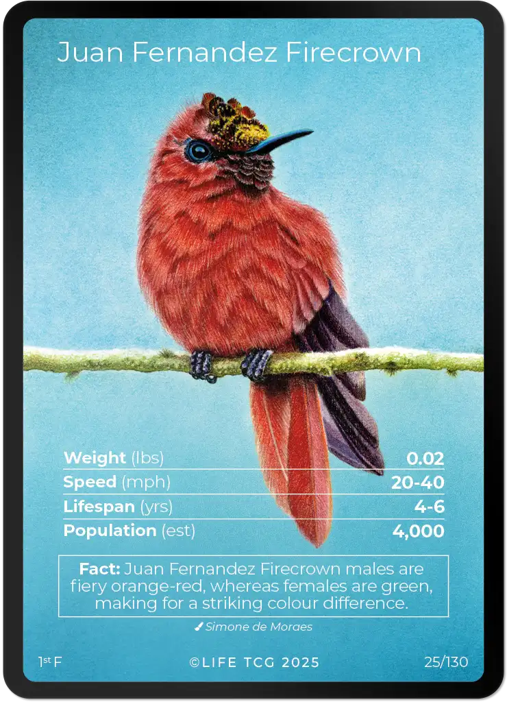 Juan Fernandez Firecrown card front