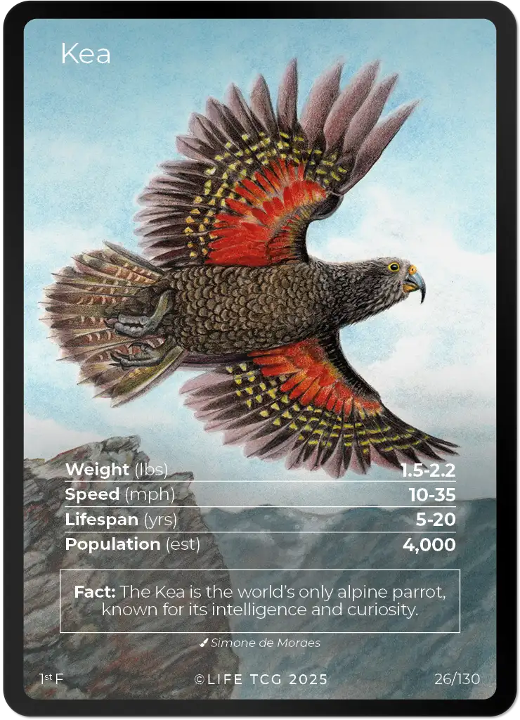 Kea card front