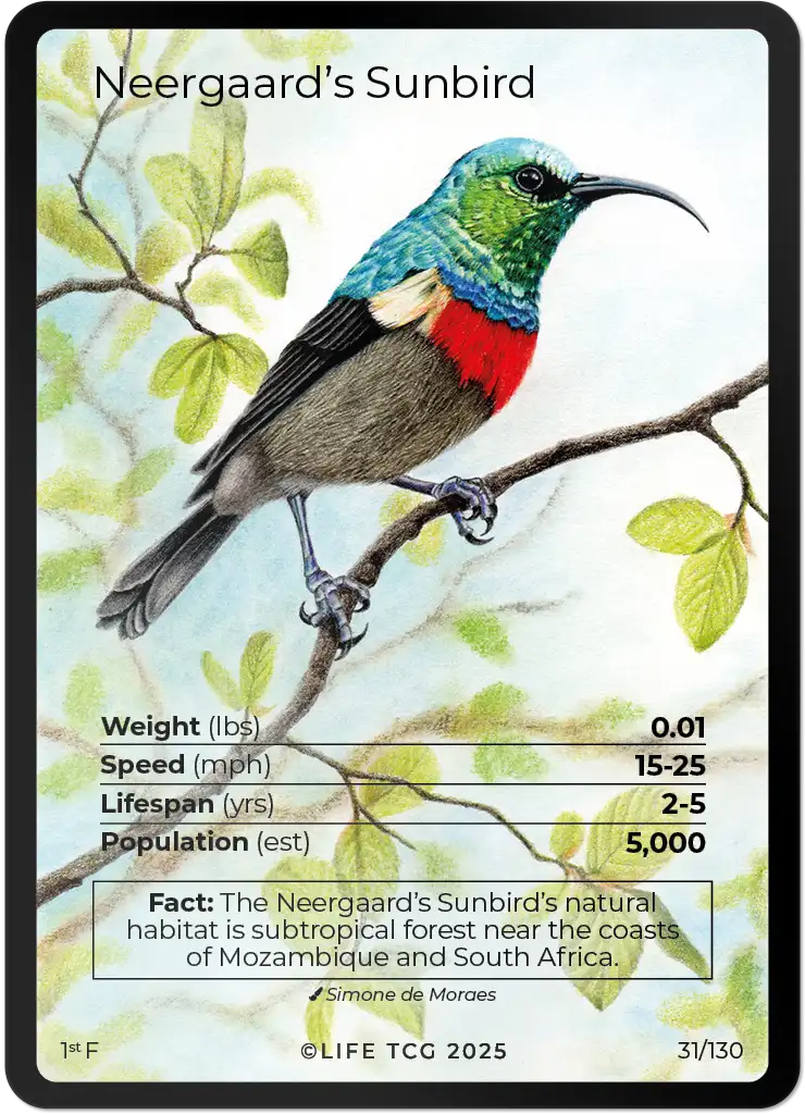 Neergaard's Sunbird card front
