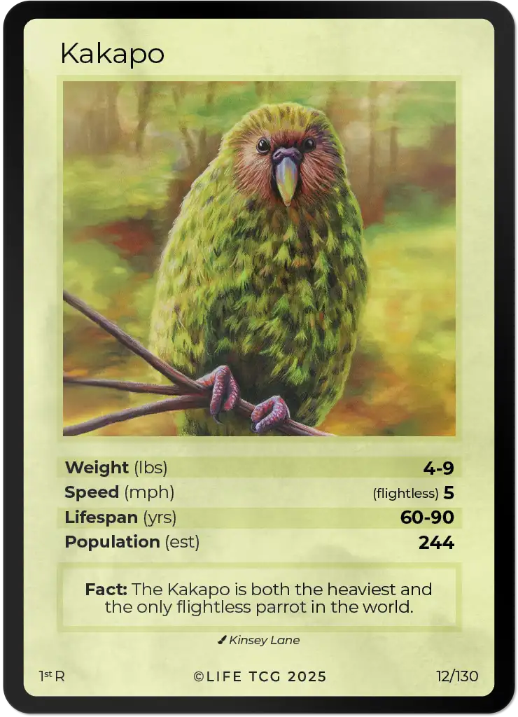 Kakapo card front