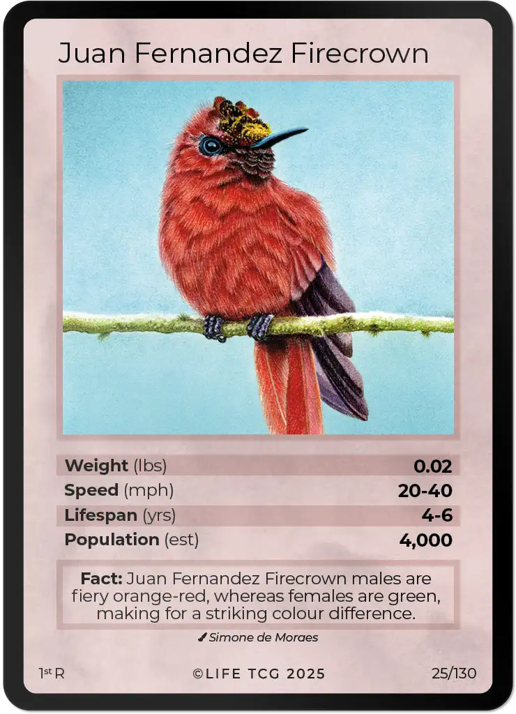 Juan Fernandez Firecrown card front