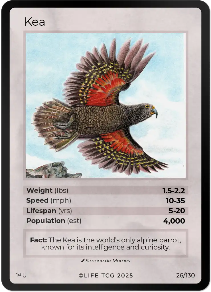 Kea card front