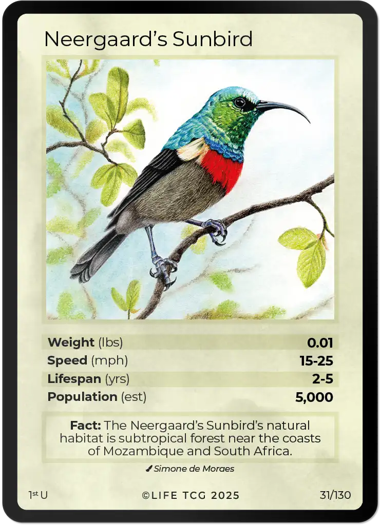 Neergaard's Sunbird card front