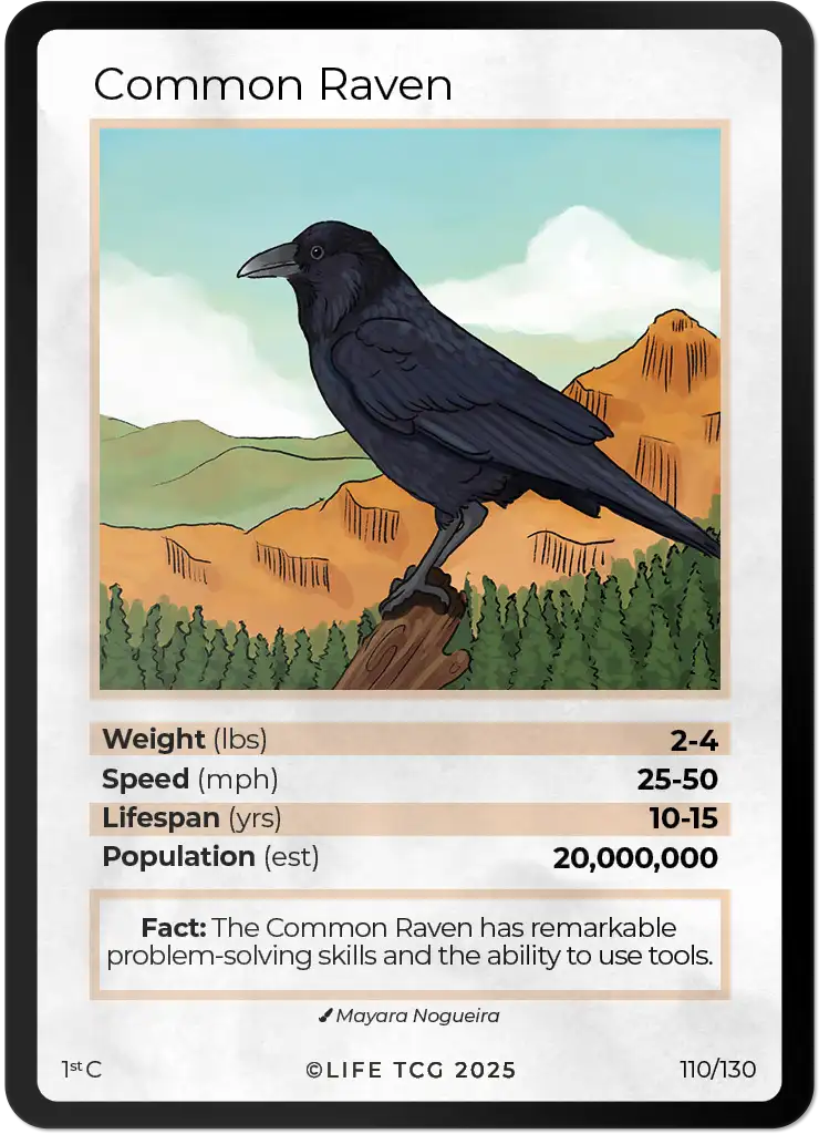 Common Raven card front