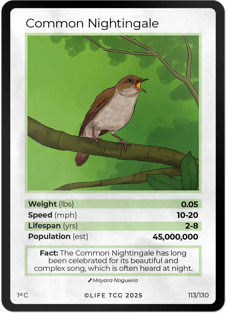 Common Nightingale card front