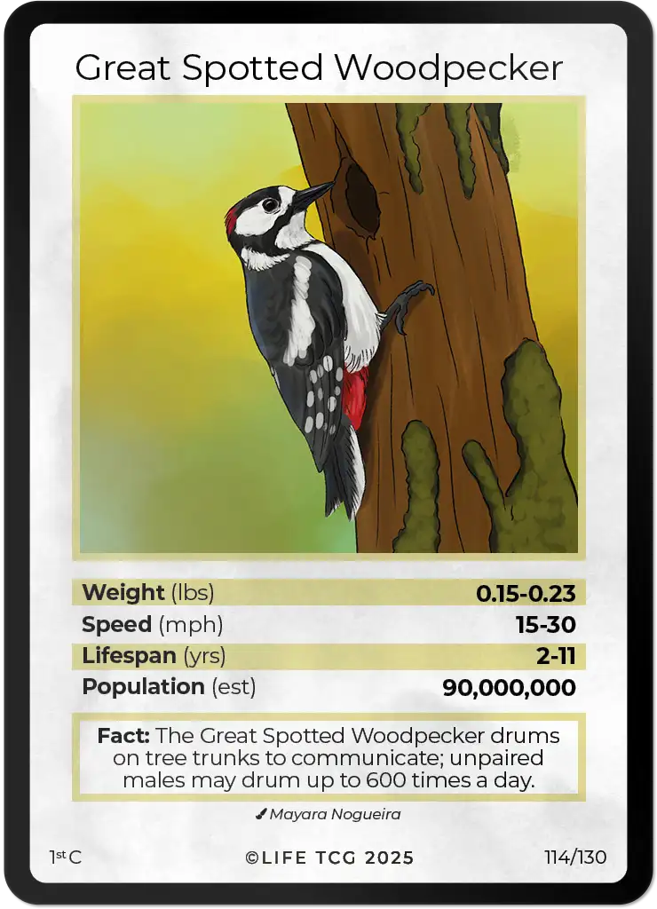 Great Spotted Woodpecker card front