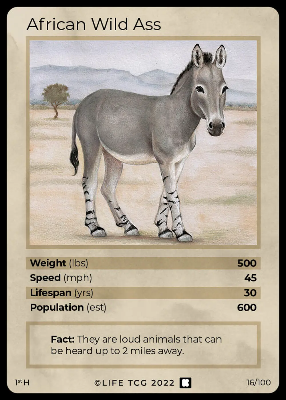 African Wild Ass card front