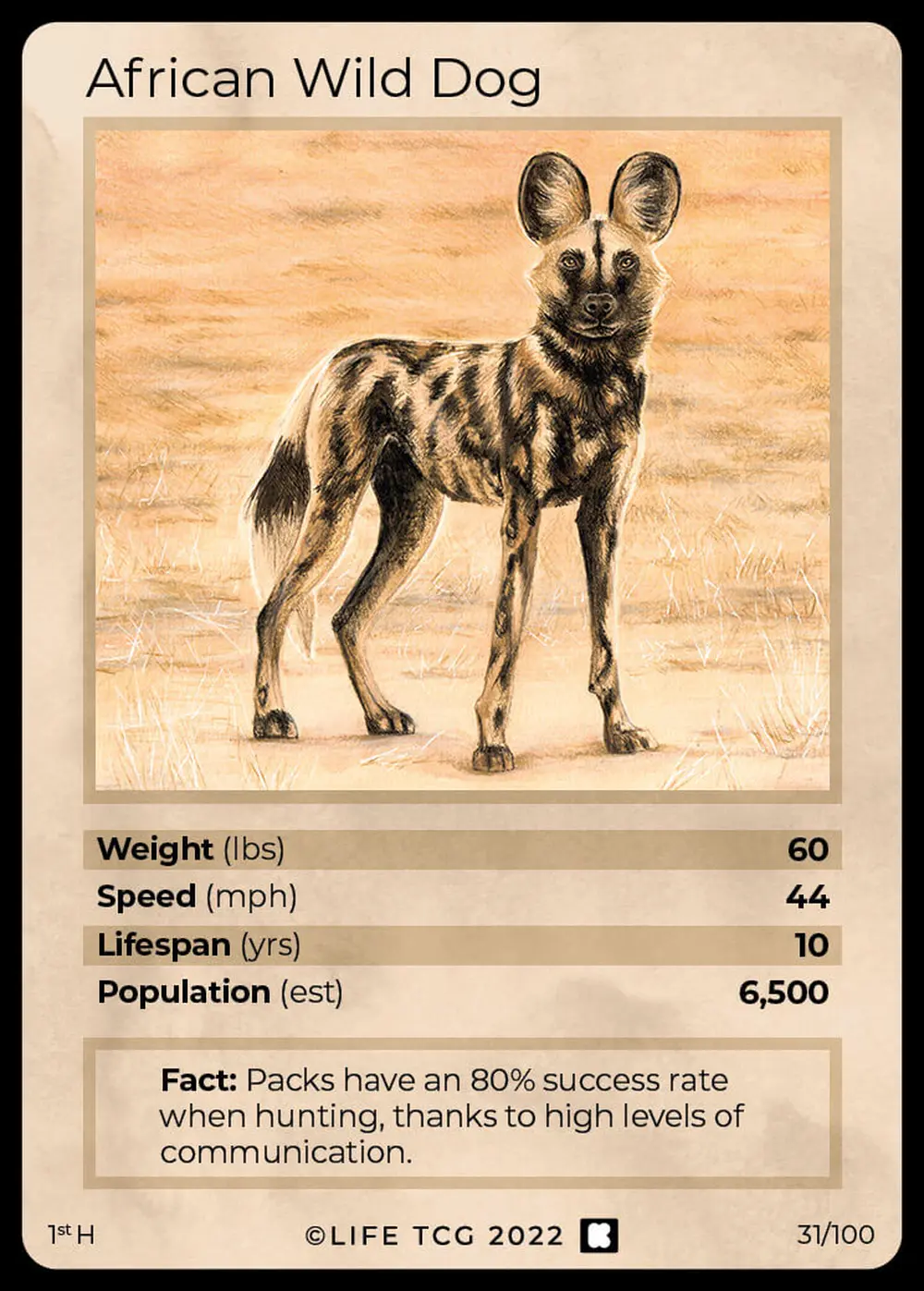 African Wild Dog card front