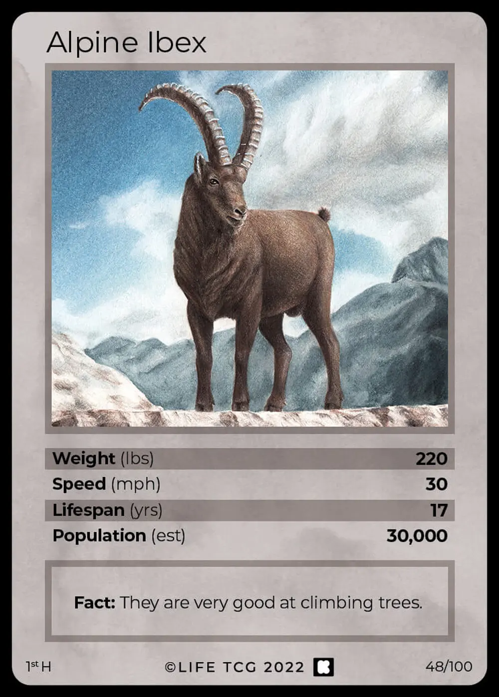 Alpine Ibex card front