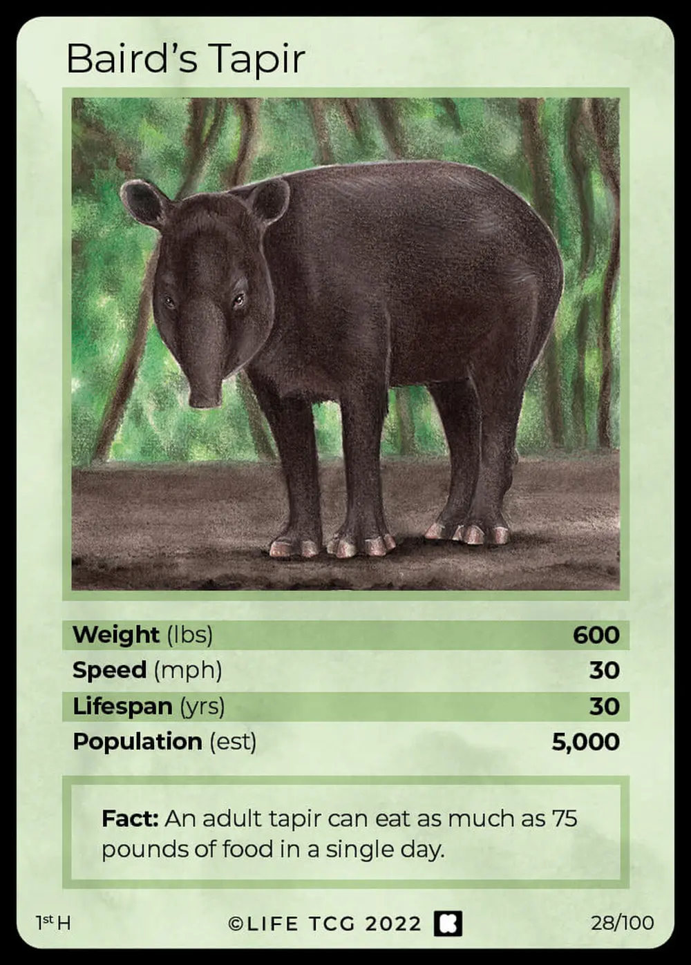 Baird's Tapir card front
