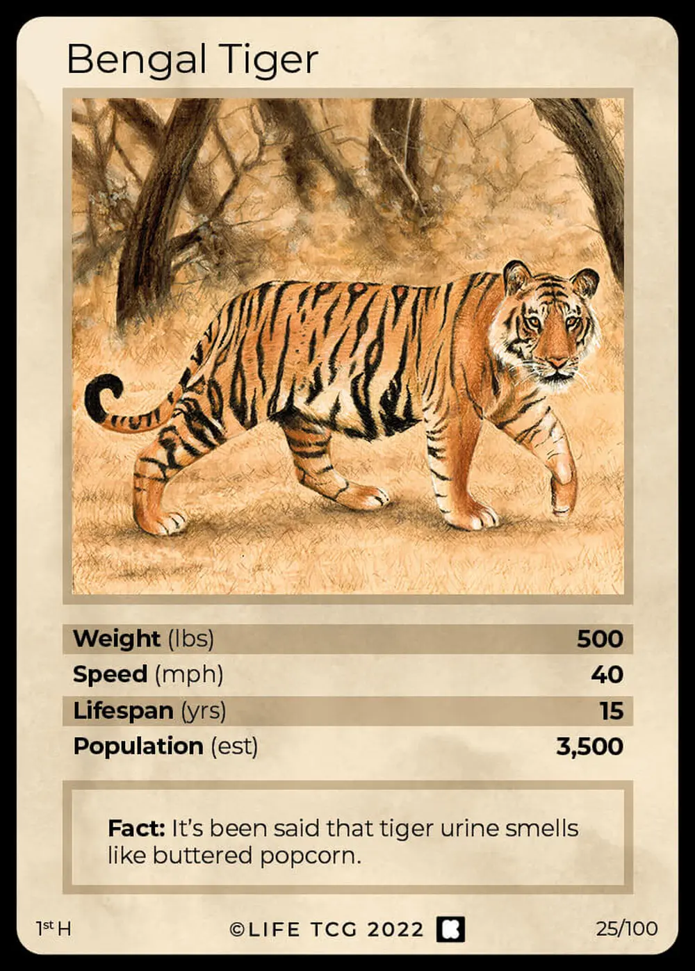Bengal Tiger card front