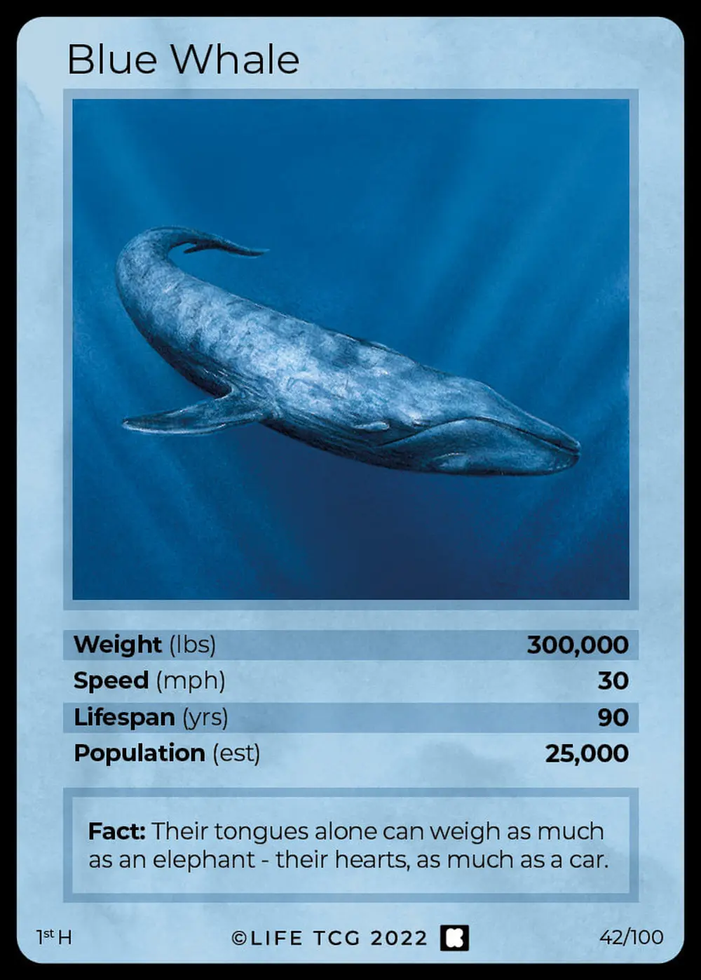 Blue Whale card front