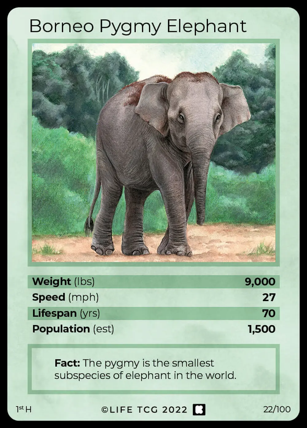 Borneo Pygmy Elephant card front