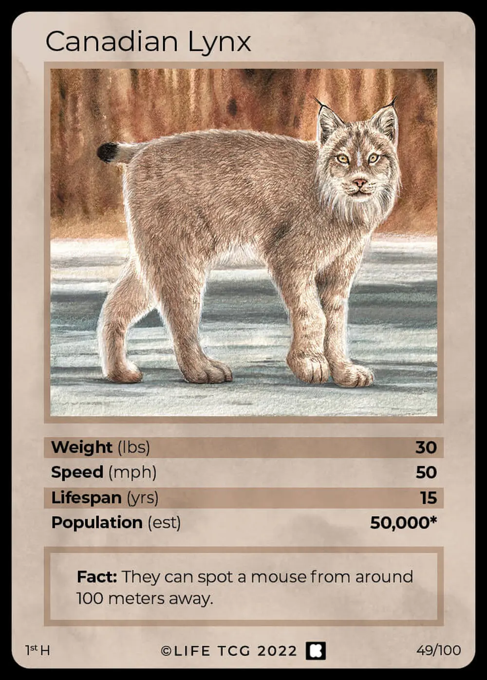 Canadian Lynx card front