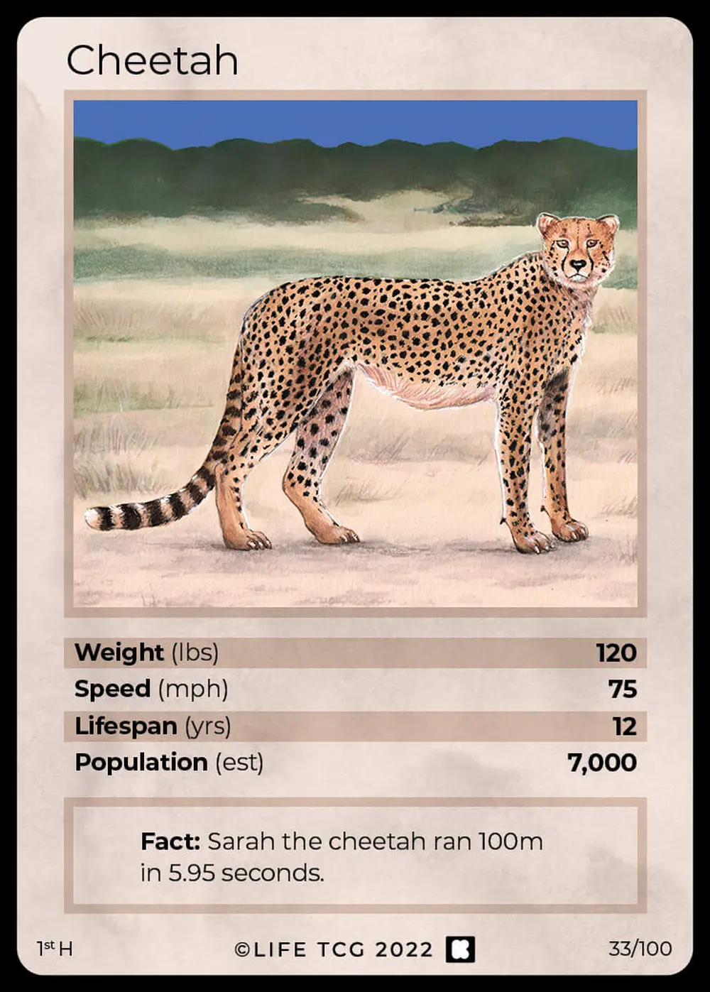 Cheetah card front