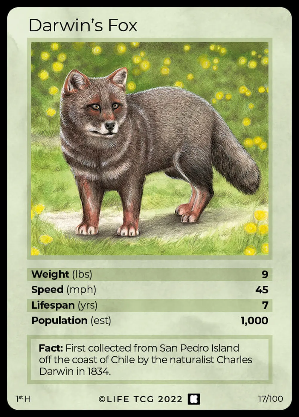 Darwin's Fox card front