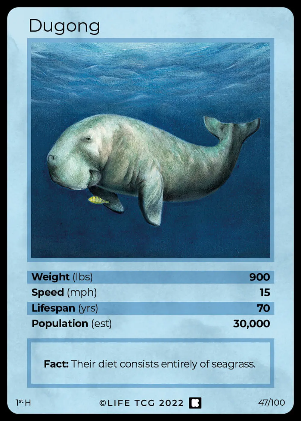Dugong card front