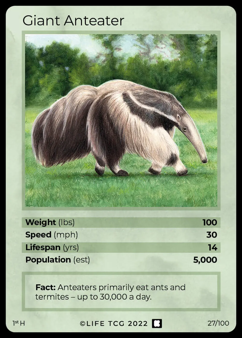 Giant Anteater card front