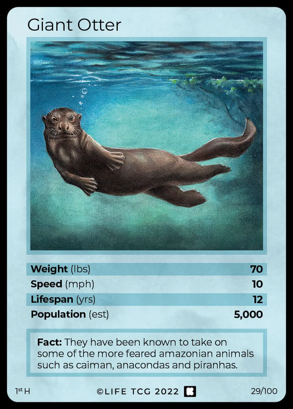 Giant Otter card front