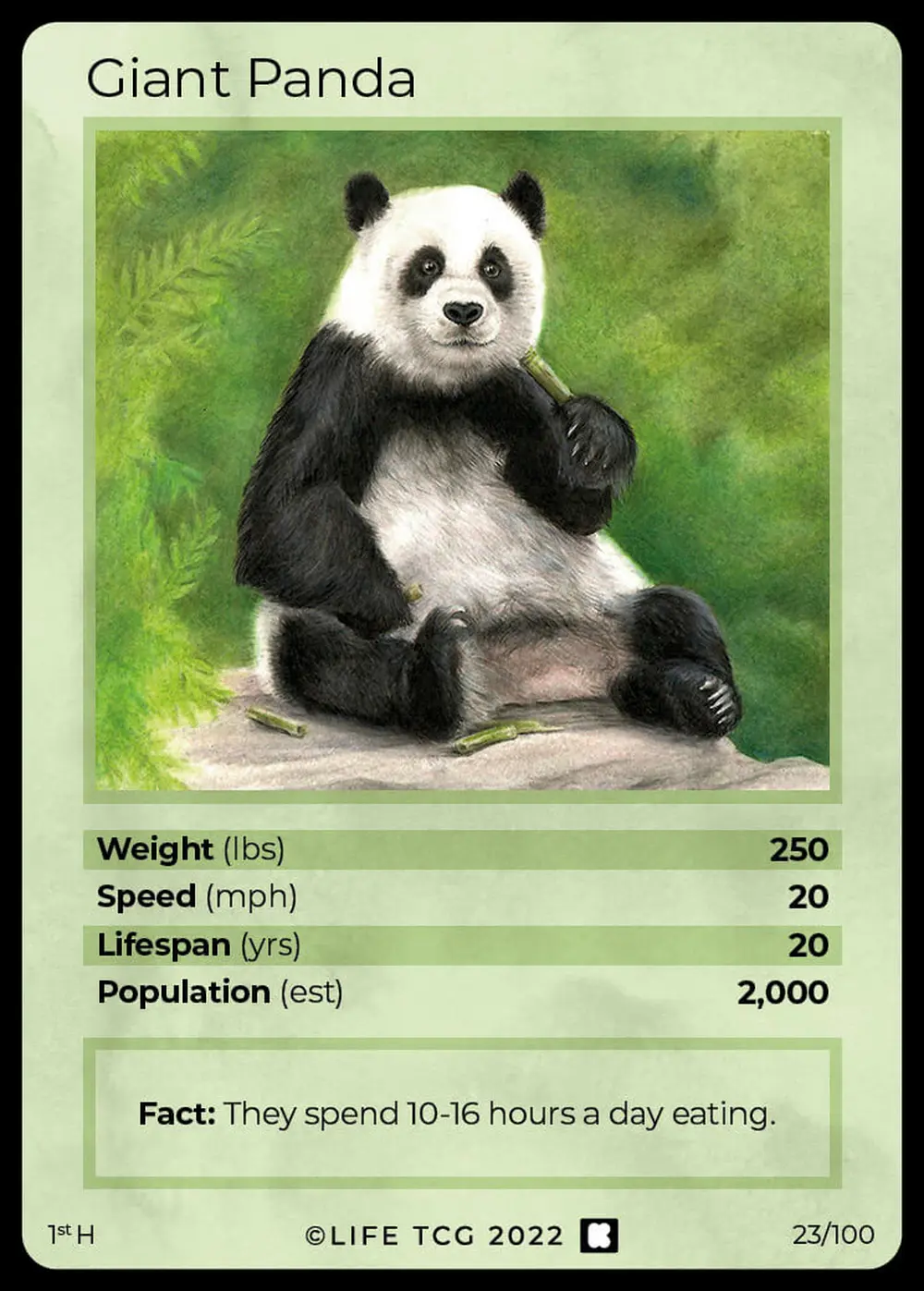Giant Panda card front