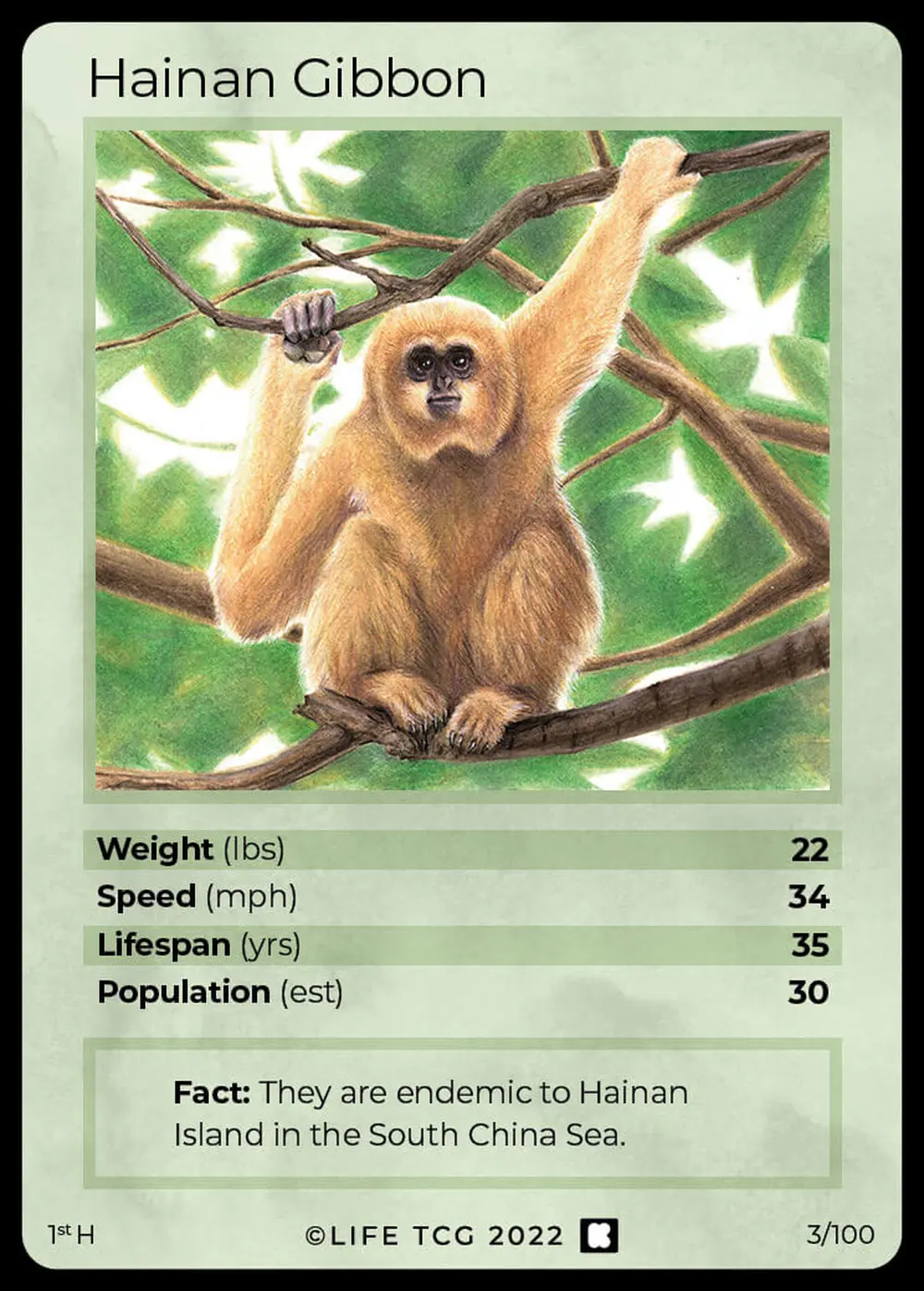 Hainan Gibbon card front