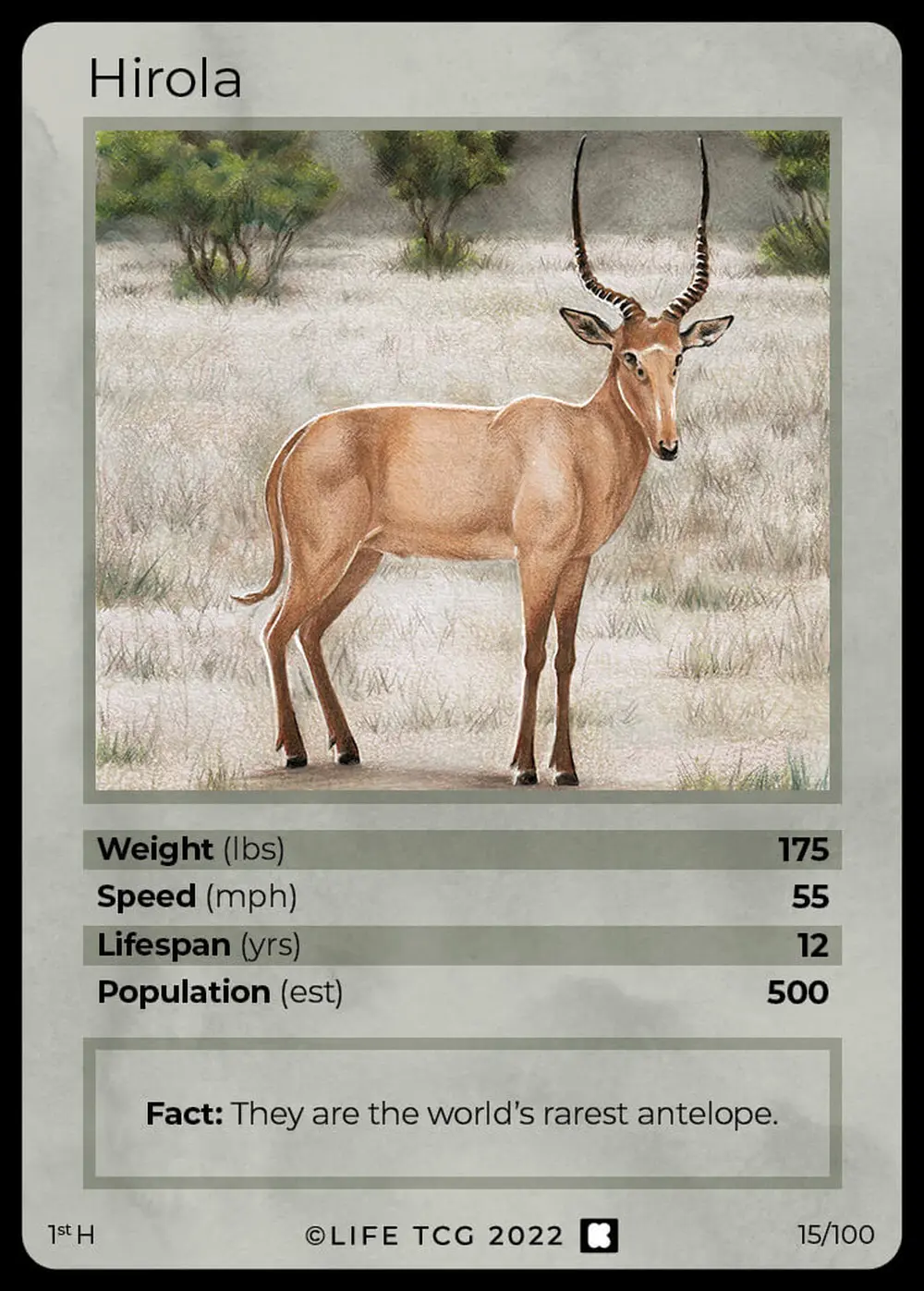 Hirola card front