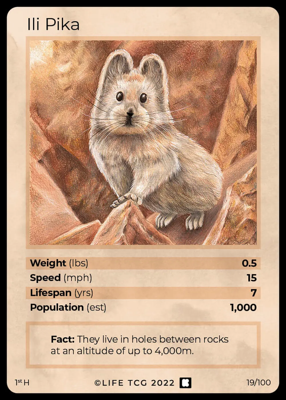 Ili Pika card front