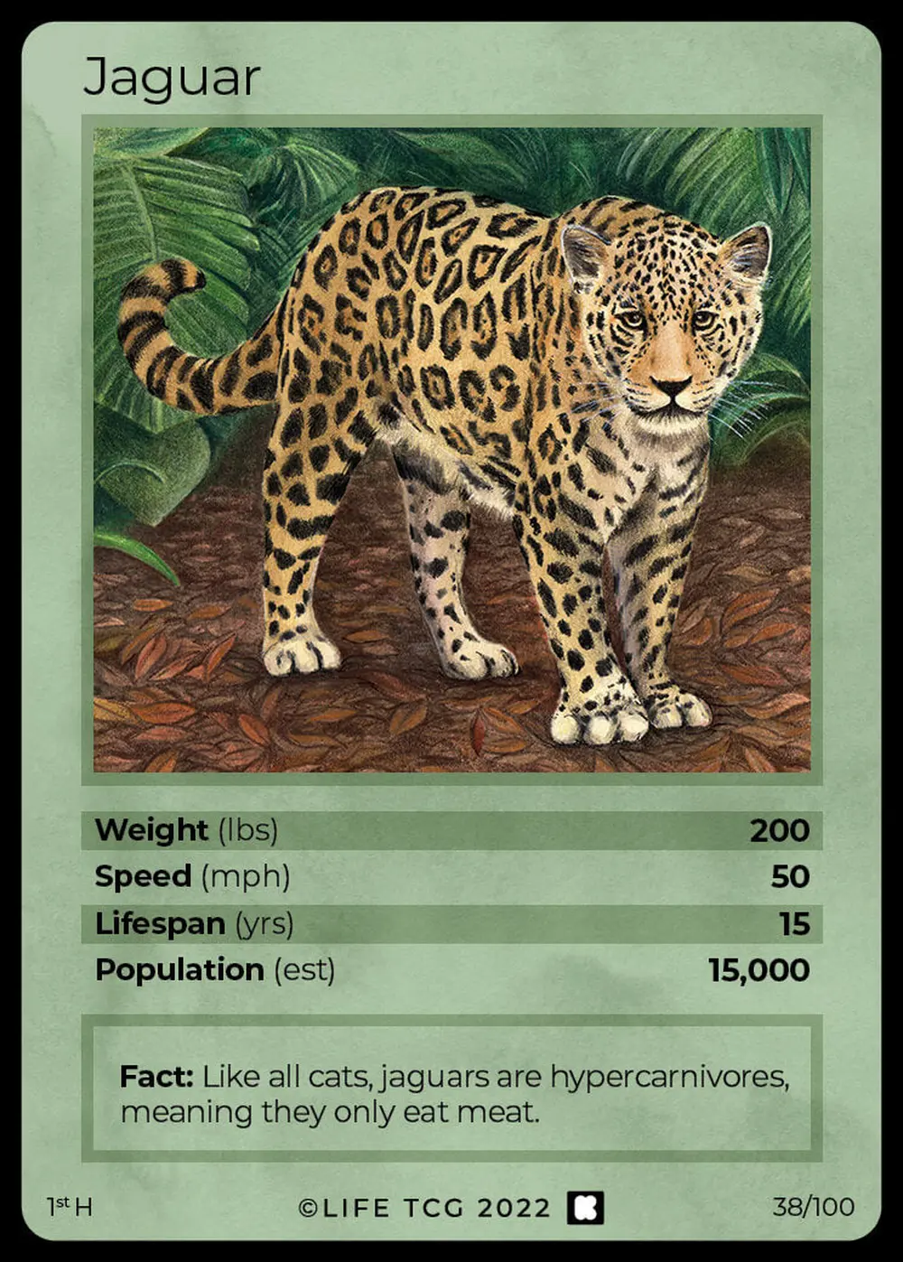 Jaguar card front