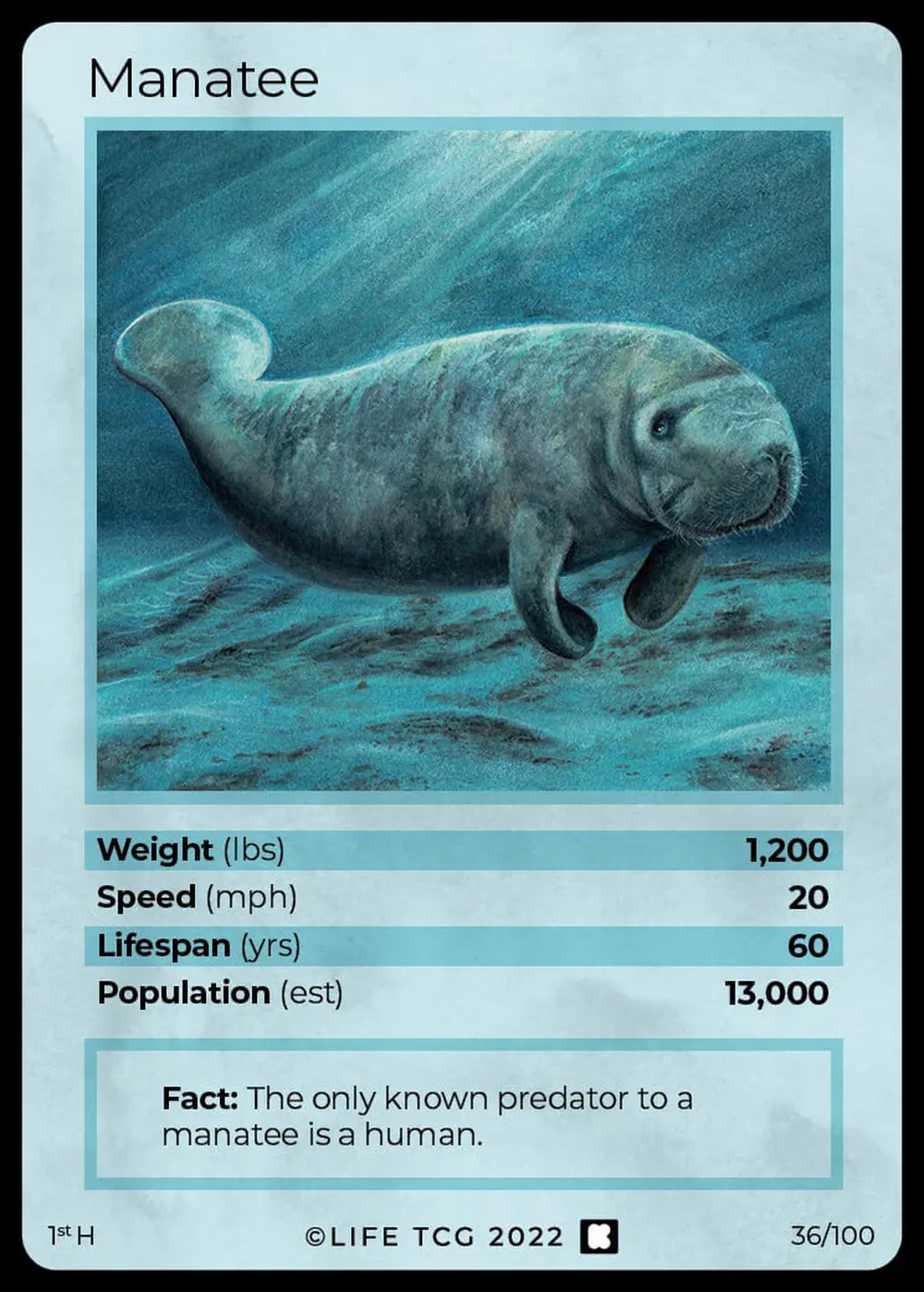 Manatee card front
